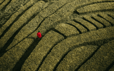 De directore a productore ¿Camino o laberinto?- DOCMA FÓRUM MAYO