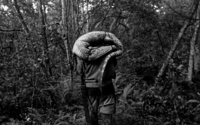 ‘Lecciones en humanidad, supervivencia y cine’, por Ruth Somalo